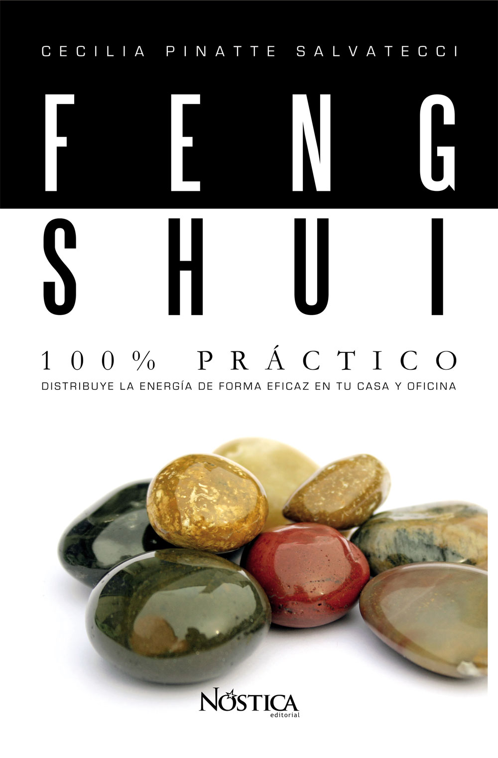 Feng Shui 100% práctico